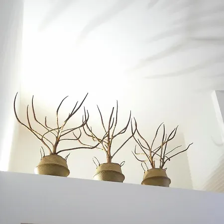 Theatron Houses- Centro Storico *